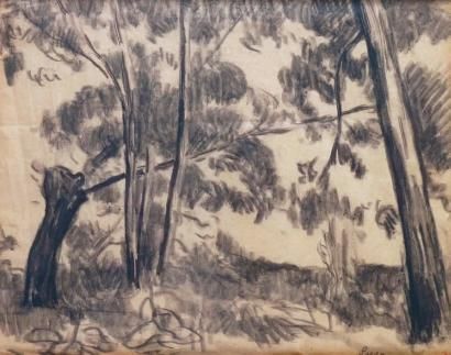 LES ARBRES