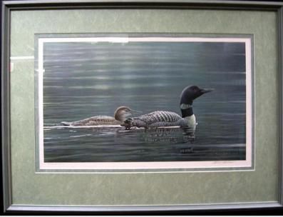 MUSKOKA LAKES - COMMON LOONS