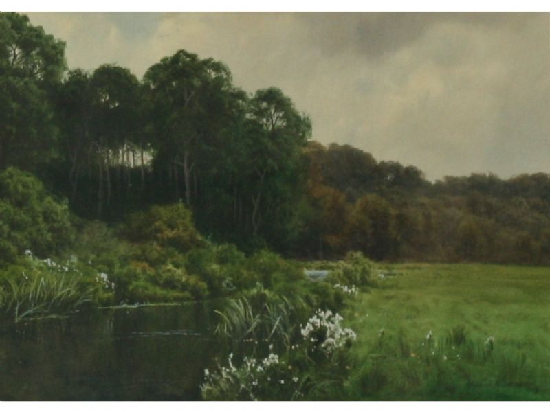 A LOCAL RIVER SCENE
