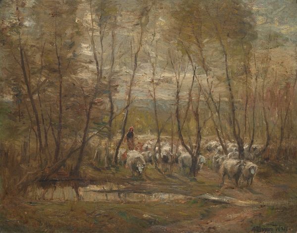 Sheep Crossing Creek