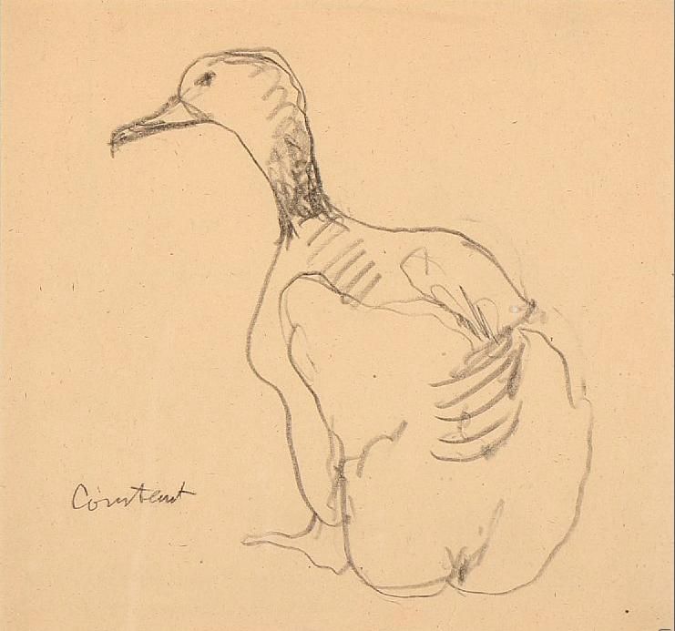 Duck