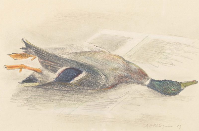 Stillleben mit Ente
