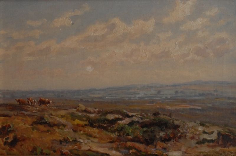Cattle in Landscape