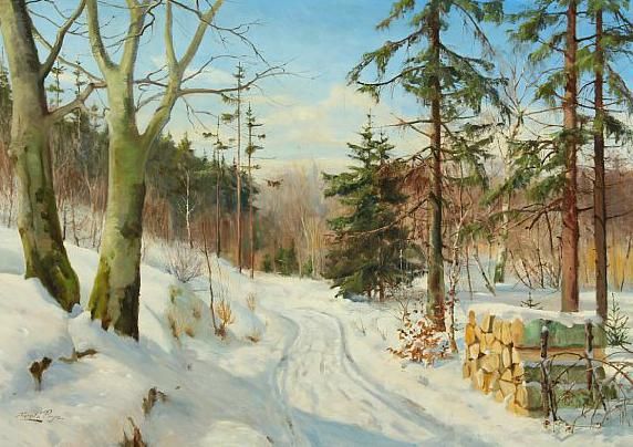 A snow covered forest road