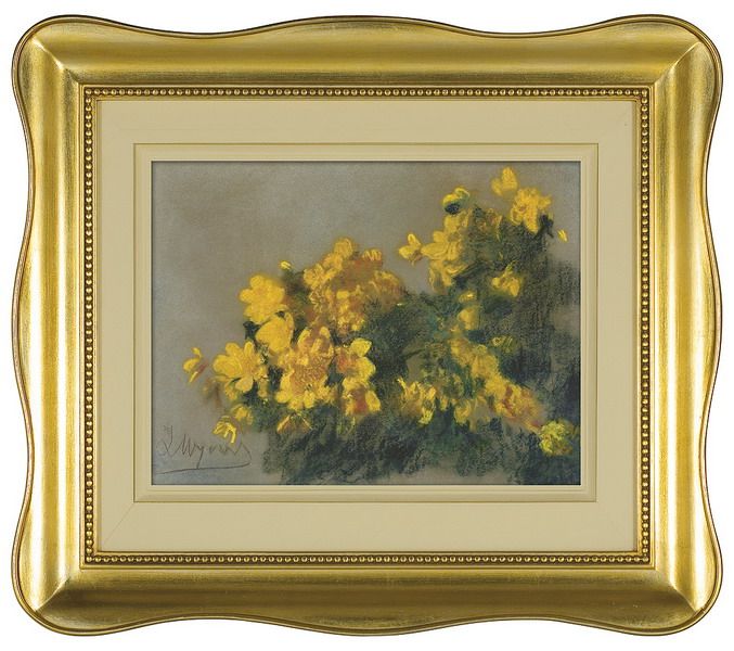 Marsh marigold