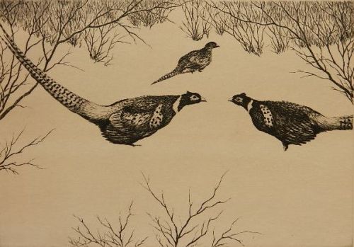 Fightin Pheasants
