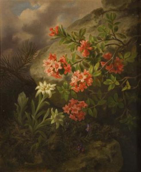 Alpine Flowers