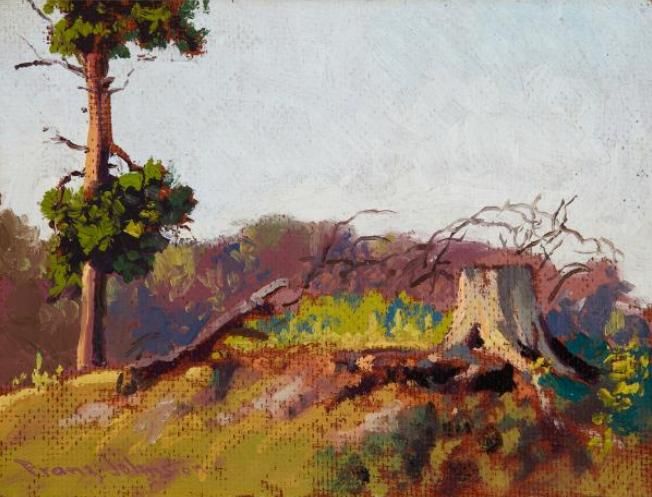 THE OLD STUMP