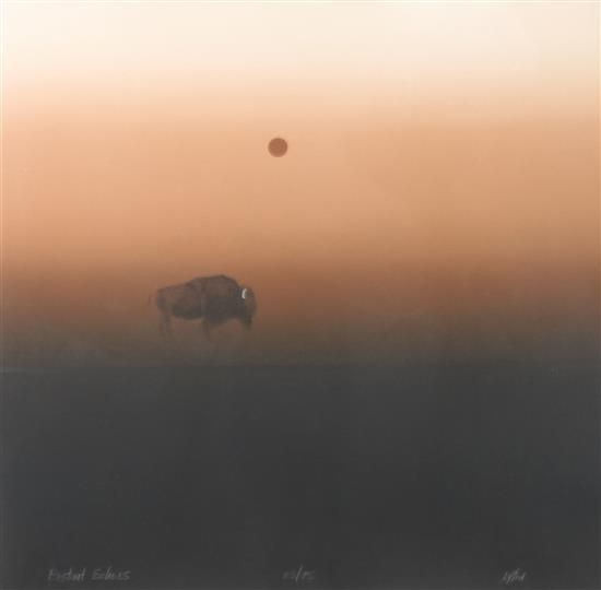 Distant Echoes