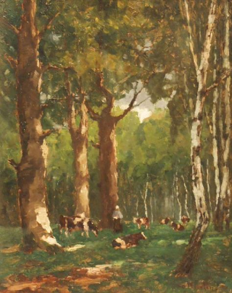 Kuhherde auf einer Waldlichtung