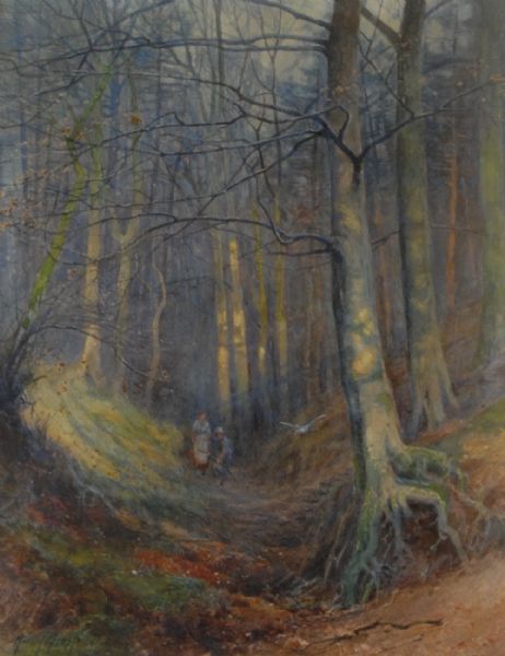 A Walk in the Woods