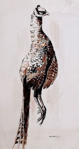 Pheasant