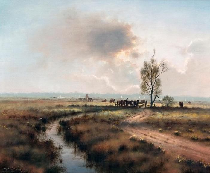 Summer on the Bure Marshes