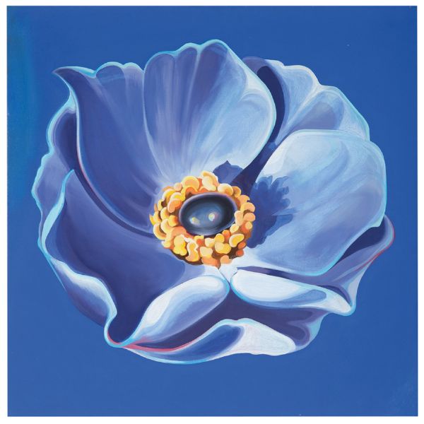 Anemone '64