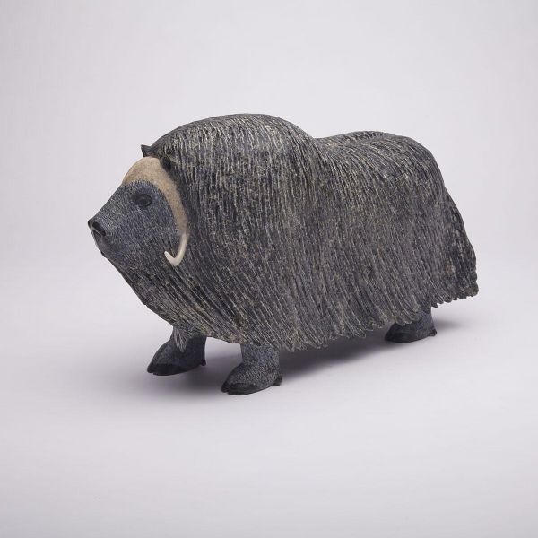 MUSK OX