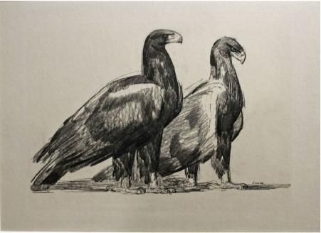 Couple d'aigles