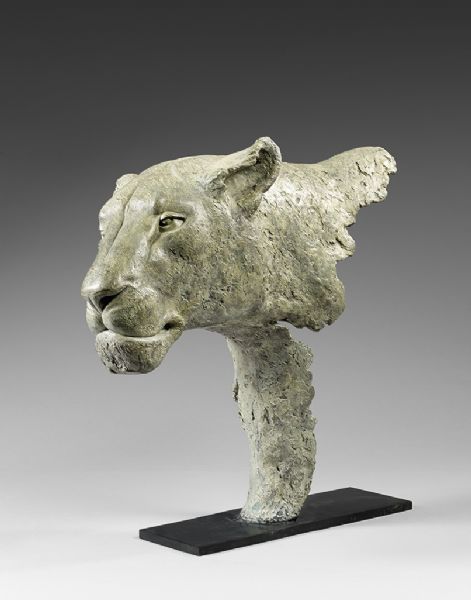 Lionne blanche