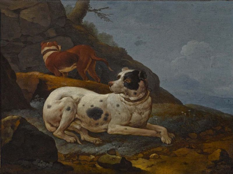 Zwei rastende Jagdhunde