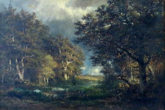 Forest Interior