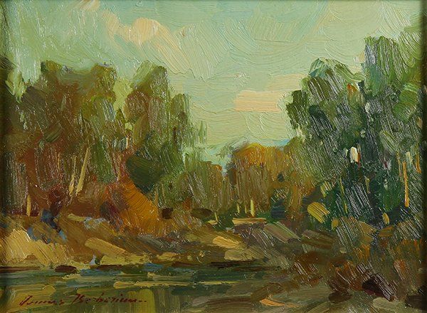 Late Evening Light