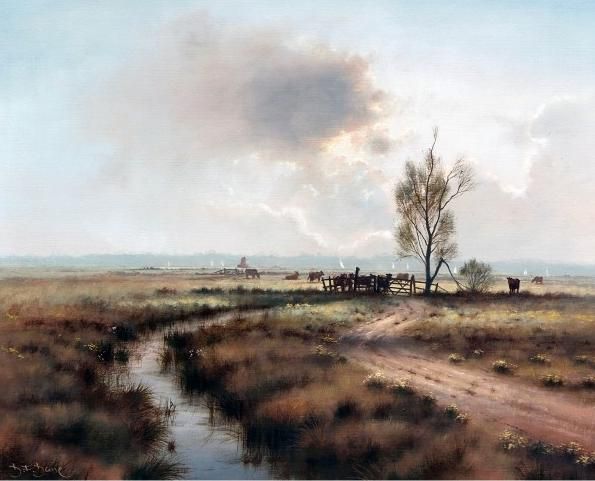 Summer on the Bure Marshes
