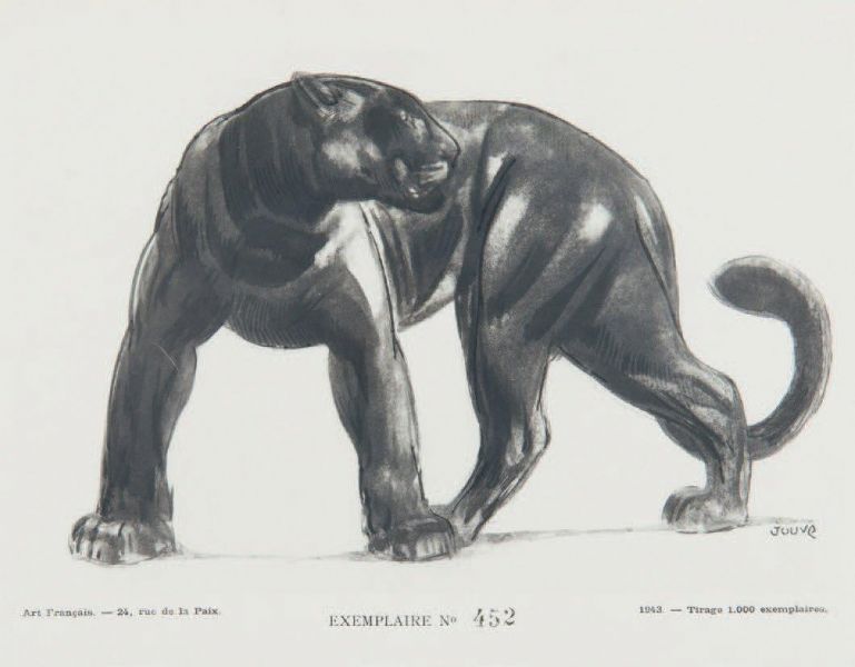 Panthère noire