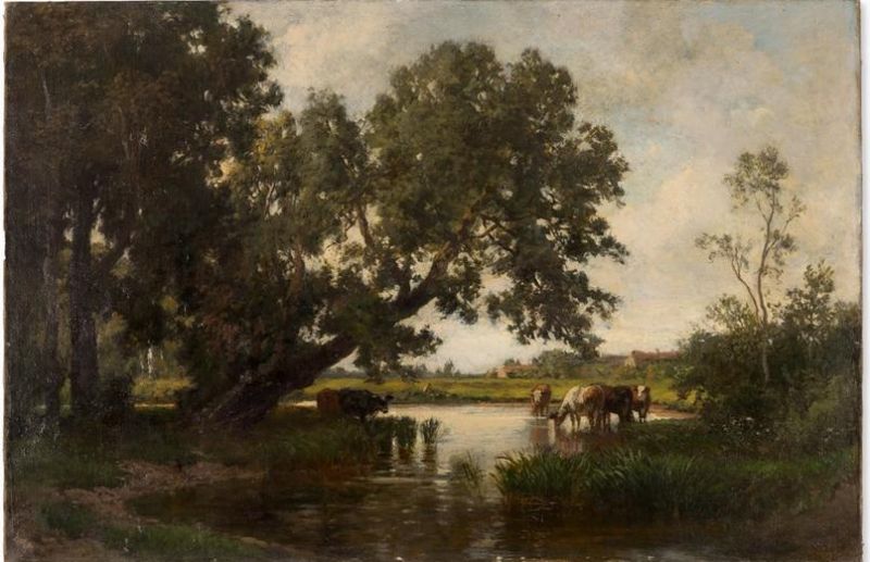 COws by the River