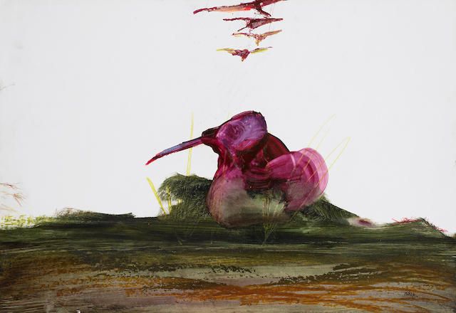 Bird