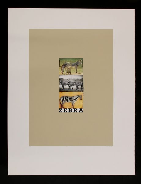 Z is for Zebra